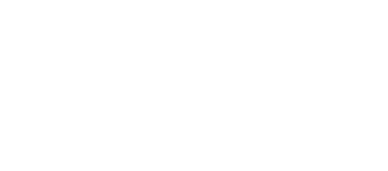 White Fehse Guitars logo